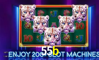 Flash Promotion 55b